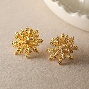 适合夏天 高级感轻奢爆款 小众独特耳环2025新款 FRENCH耳饰女法式