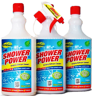 澳渍丽卫浴马桶不锈钢除水垢皂垢清洁剂洁厕剂750ML优惠促销 3瓶装