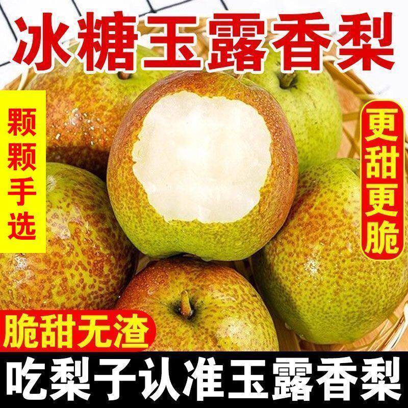 正宗玉露香梨纯脆甜薄皮香酥梨当季鲜果梨子新鲜生鲜水果丹霞红梨