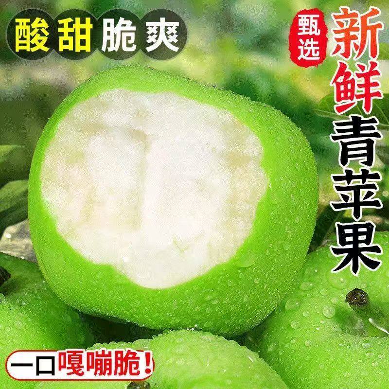 山西新鲜青苹果酸脆爽口产地直发