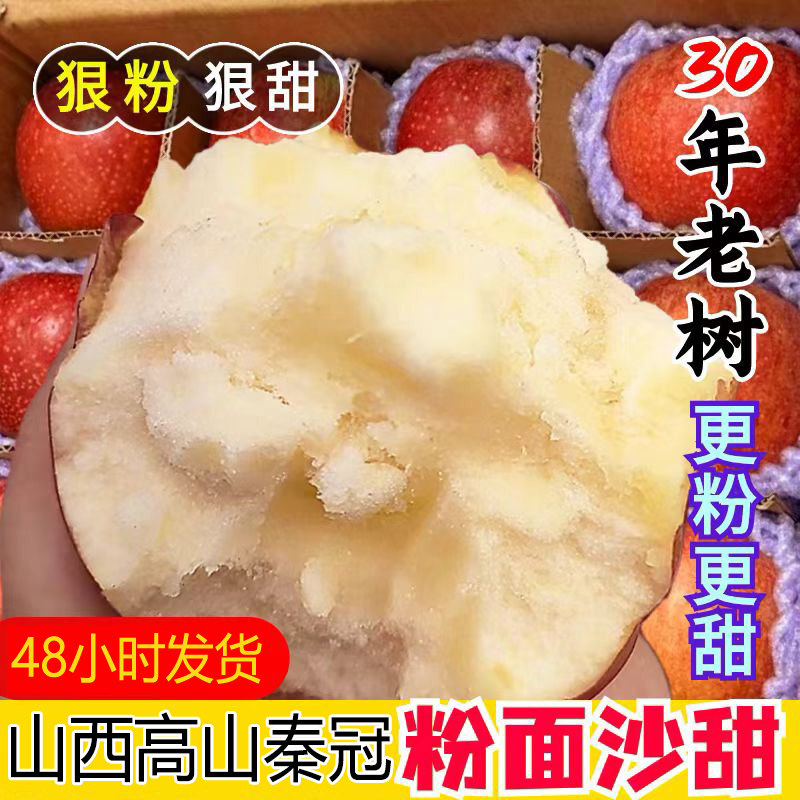 粉面沙甜苹果山西西红秦冠粉面苹果老人婴儿孕妇刮果泥吃新鲜包邮