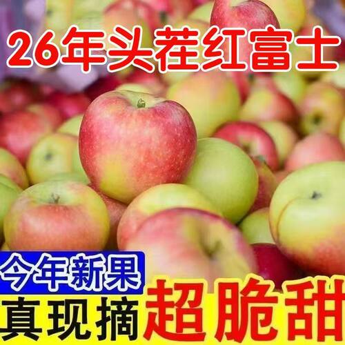 山西头茬早熟红富士苹果