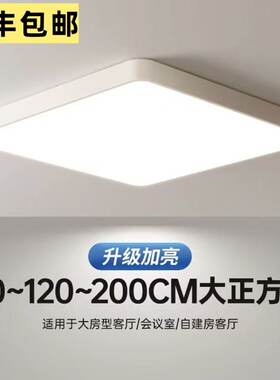 led超亮光源大空间面积超大灯具