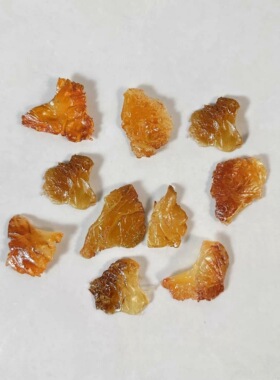 仿真海蜇头 海蜇片食品模型厨房样品菜酒店装饰