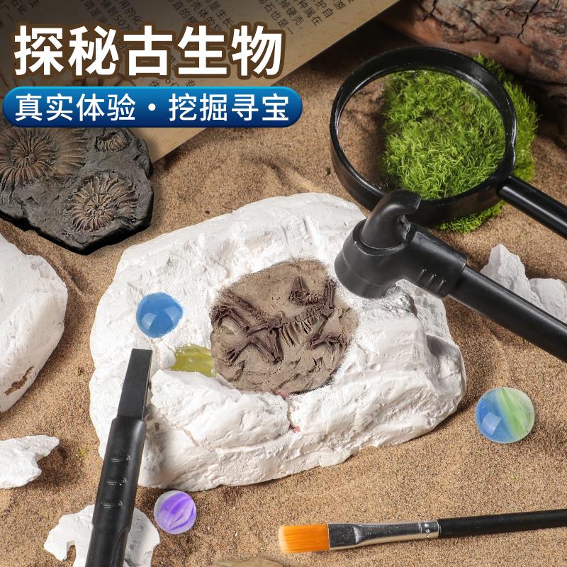 考古挖掘古生物化石探秘寻宝亲子互动学习认知恐祖鸟儿童生日礼物