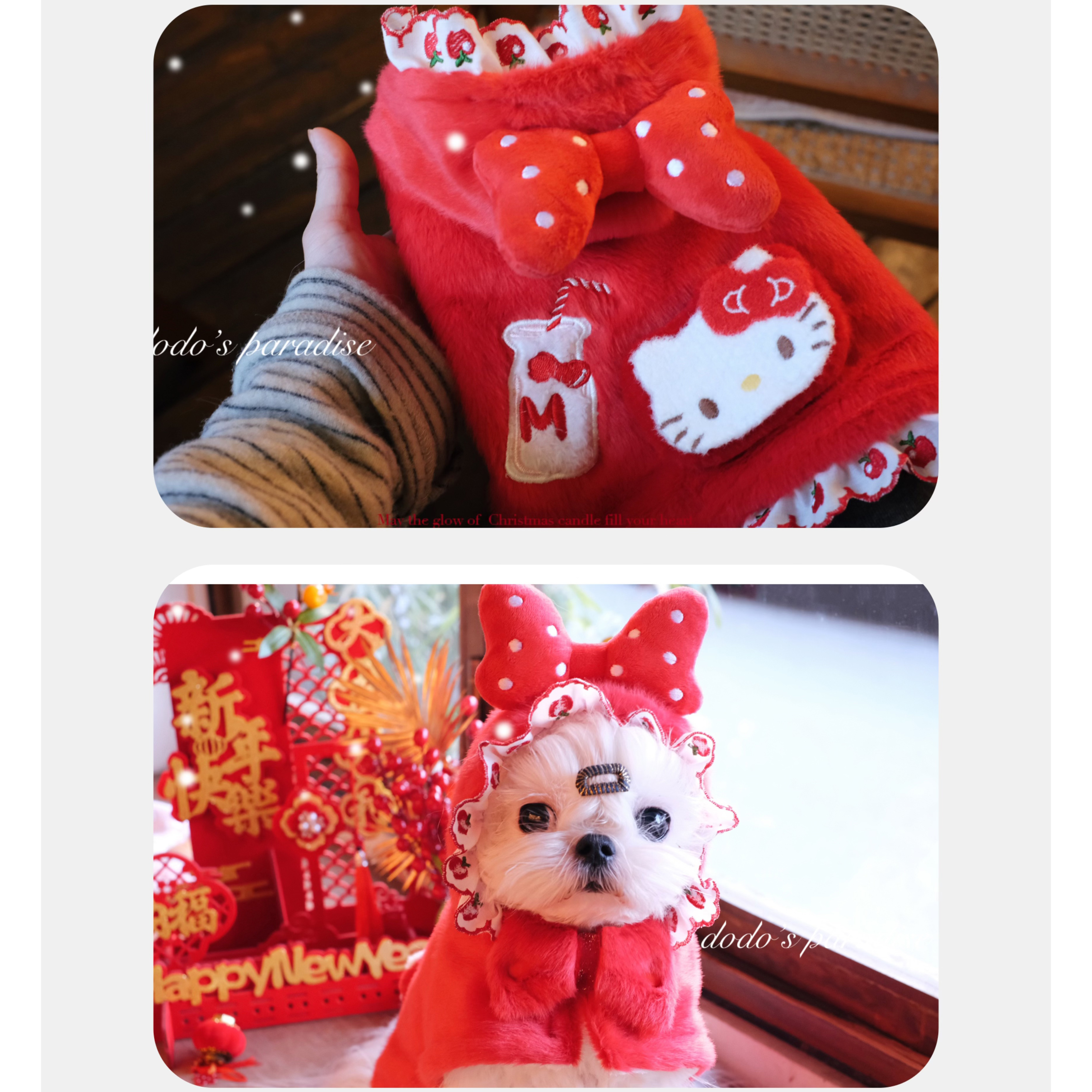 24新款秋冬宠物猫狗衣服小型犬泰迪约克夏过年新年水貂绒斗篷披风