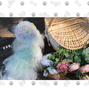 25春夏宠物猫狗衣服约克夏马尔济斯打底T恤超薄竹节棉吊带纱裙