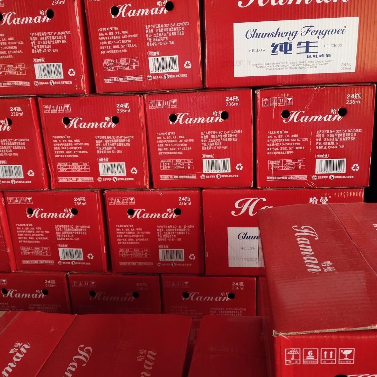 10箱批发纯生236ml小瓶装啤酒KTV自助餐酒吧专用