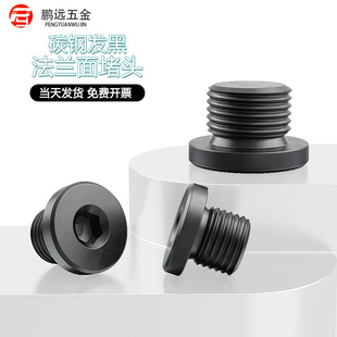 1M10 内六角法兰面堵头螺塞闷头带边油塞G1 2M8 12分4分