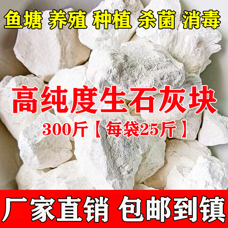 300斤生石灰块农用刷树土