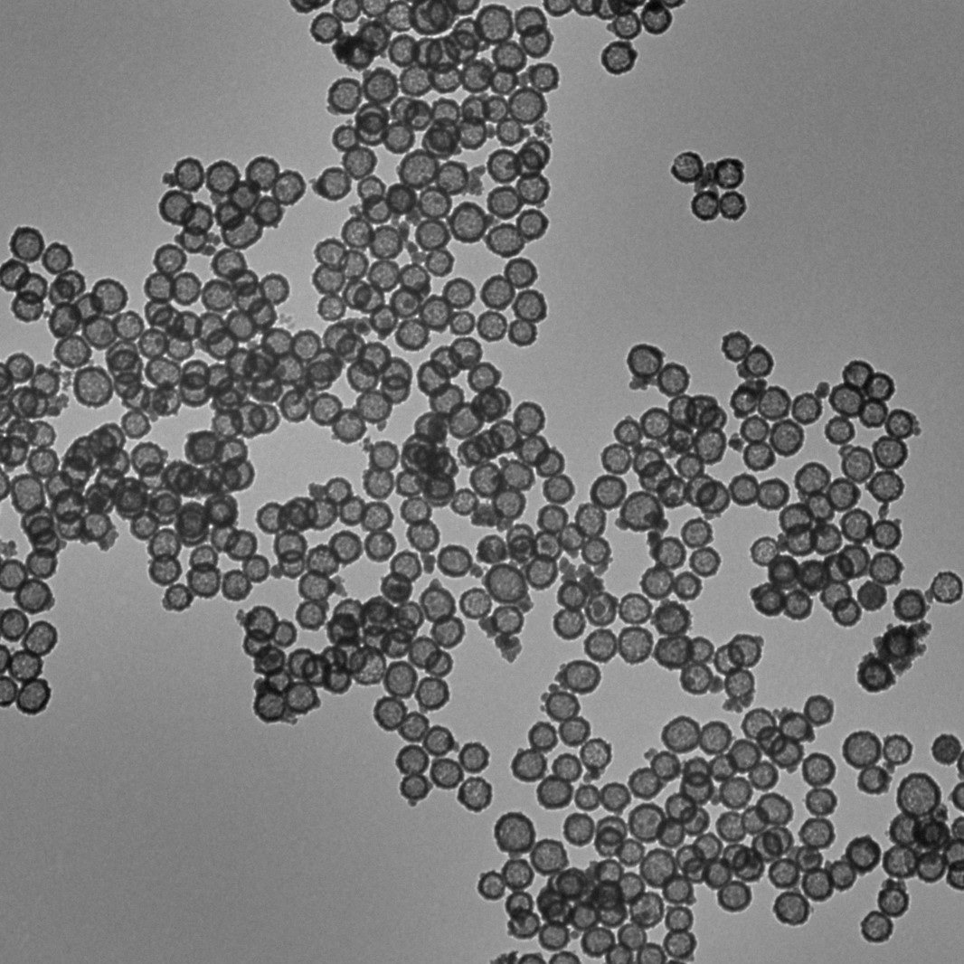 中空介孔二氧化锰纳米粒子 可负载药物 100nm 粒径均匀 泰仪科技