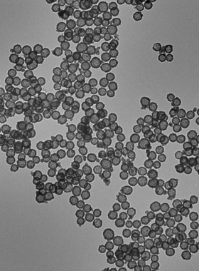 中空介孔二氧化锰纳米粒子 可负载药物 100nm 粒径均匀 泰仪科技