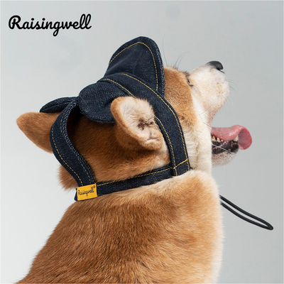 Raisingwell宠物耳朵帽 猫咪狗狗同款伸缩调节露耳朵大中小型犬