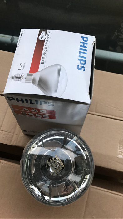 飞利浦 ir250ch 250w红外线灯泡 动物养殖 浴霸取暖 食品加热灯泡