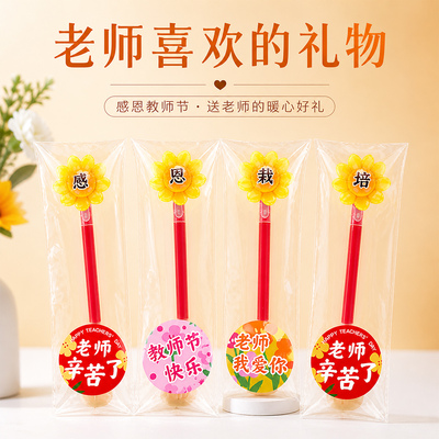 教师节送老师DIY创意红笔花束