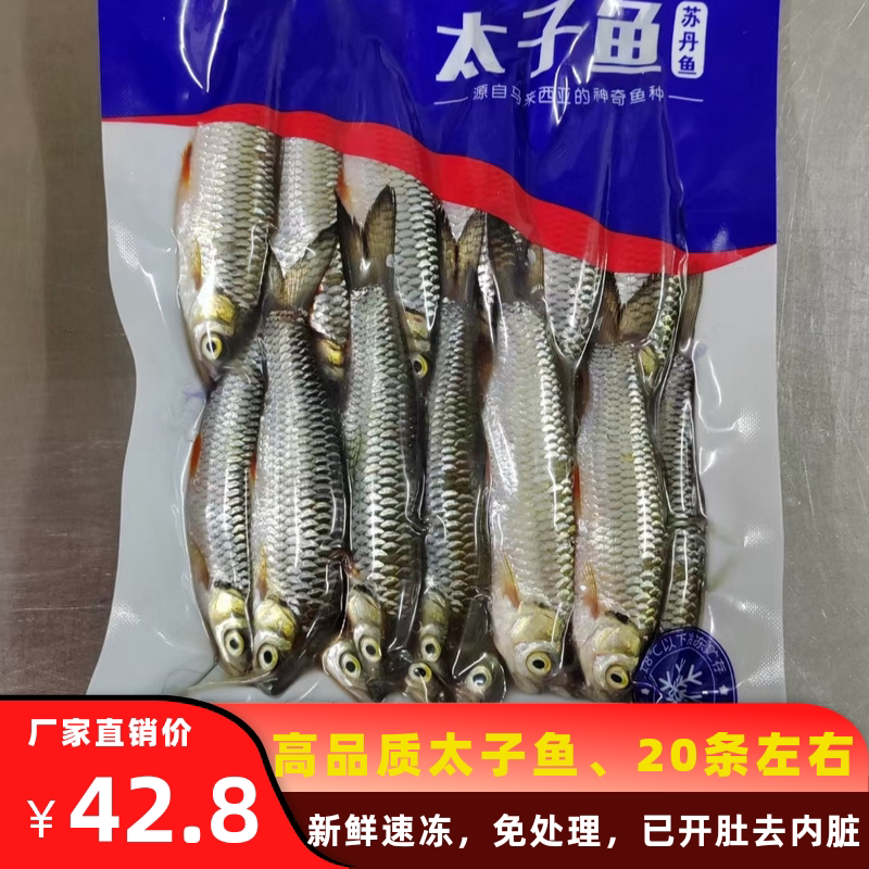 太子鱼小苏丹鱼小鱼仔小河鱼新鲜冷冻马来忘不了鱼皇帝鱼3份包邮