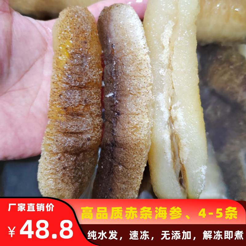 大赤条参大赤参海参新鲜冷冻大秃参螺纹参条参佛跳墙火锅酒店包邮