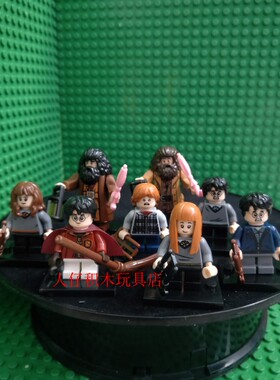 品高PG8161哈利波特罗恩金妮赫敏海格拼装积木人仔75954玩具模型