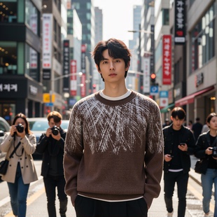 圆领针织衫 打底衫 秋冬季 加厚毛线衣长袖 新款 w2xins风毛呢毛衣男士