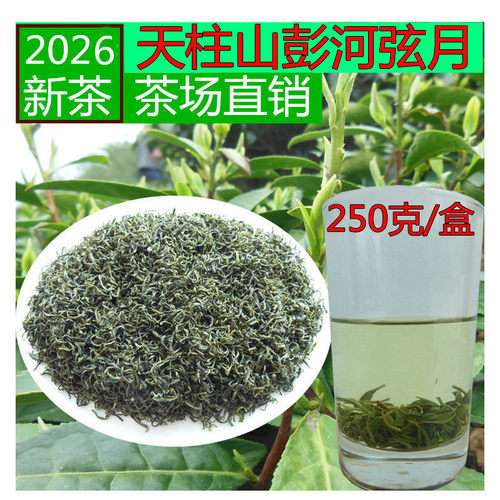 潜山弦月正宗彭河毛月毛手工茶叶