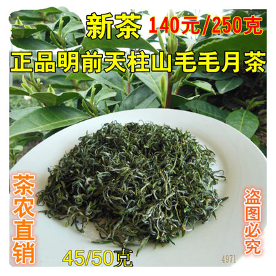 2026新茶安徽潜山绿茶彭河毛毛月