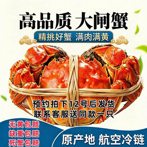 活蟹【高品质精品】大闸蟹鲜活螃蟹母蟹2.5两公3.5两【去绳净重】