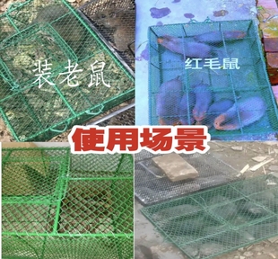 装蛇铁丝笼通用青蛙笼子编织关蛇箱折叠笼蛇不锈钢笼专业装田鸡笼