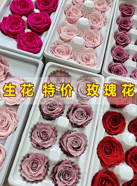 情人节特价diy玫瑰C级永生花留声机4-5cm直径5-6CM/6朵一盒活动用
