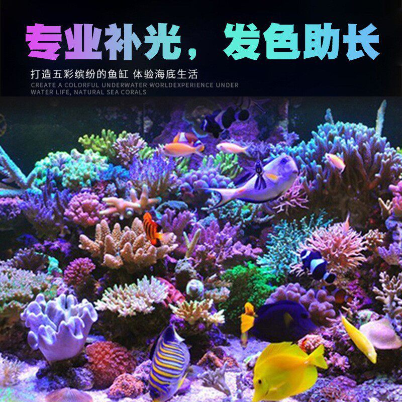 吉印刀锋LEO专业海水补光灯海缸珊瑚缸FOT蓝色发色助长灯珊瑚灯图片