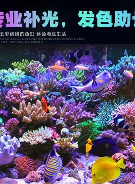 吉印刀锋LEO专业海水补光灯海缸珊瑚缸FOT蓝色发色助长灯珊瑚灯