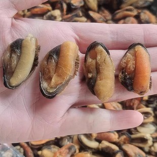 淡菜干 贻贝干青口贝海虹肉壳菜新晒海味自晒海红干货海产500g