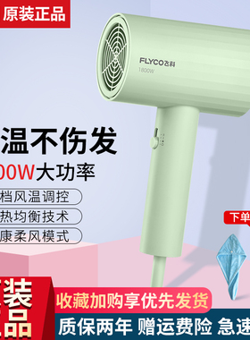 飞科吹风机家用负离子护发网红静音大风力宿舍用学生电吹风筒速干