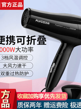 飞科吹风机家用大功率速干折叠电吹风学生宿舍发廊男士专用吹风筒