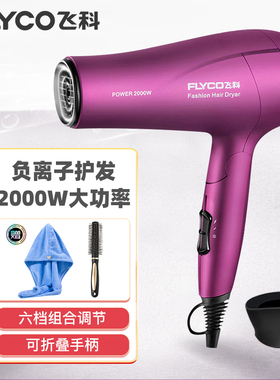 飞科电吹风机家用负离子护发大功率可折叠学生宿舍电吹风筒FH6618