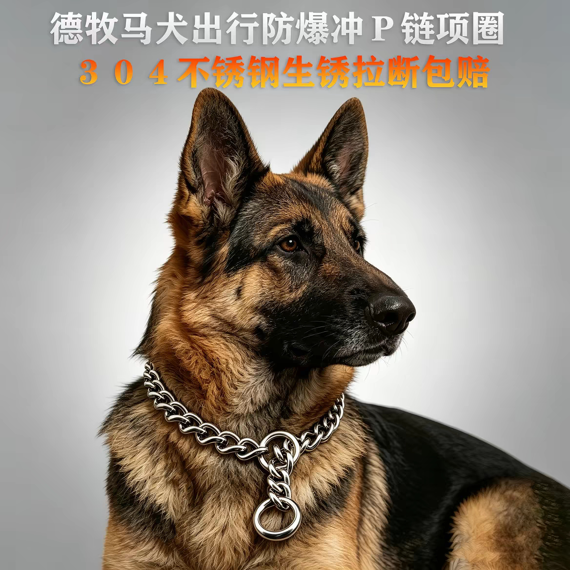 狗链不锈钢项圈大型犬狗狗p链脖链铁蛇链金毛马犬萨摩耶拴狗颈链
