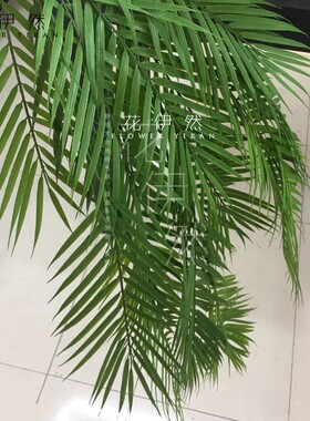 室内仿真花葵叶假树叶散尾叶道具