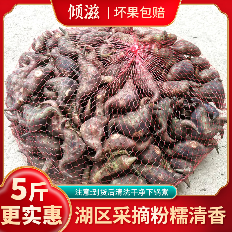 湖北洪湖老菱角粉糯大青菱角