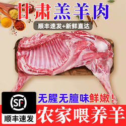 顺丰京东包邮绵羊羯羊新鲜羊肉羊排羊腿整羊脖甘肃民勤沙羊送料包