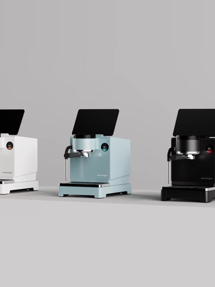 WENDOUGEE / temperature bean season LITA household semi-automatic Italian Coffee machine Double boiler Transformer Electromagnetic pump