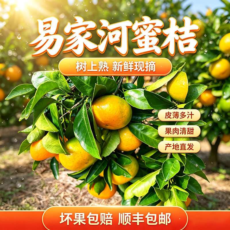 正宗江西庐山西海易家河蜜桔酸甜无籽橘子新鲜水果孕妇整箱