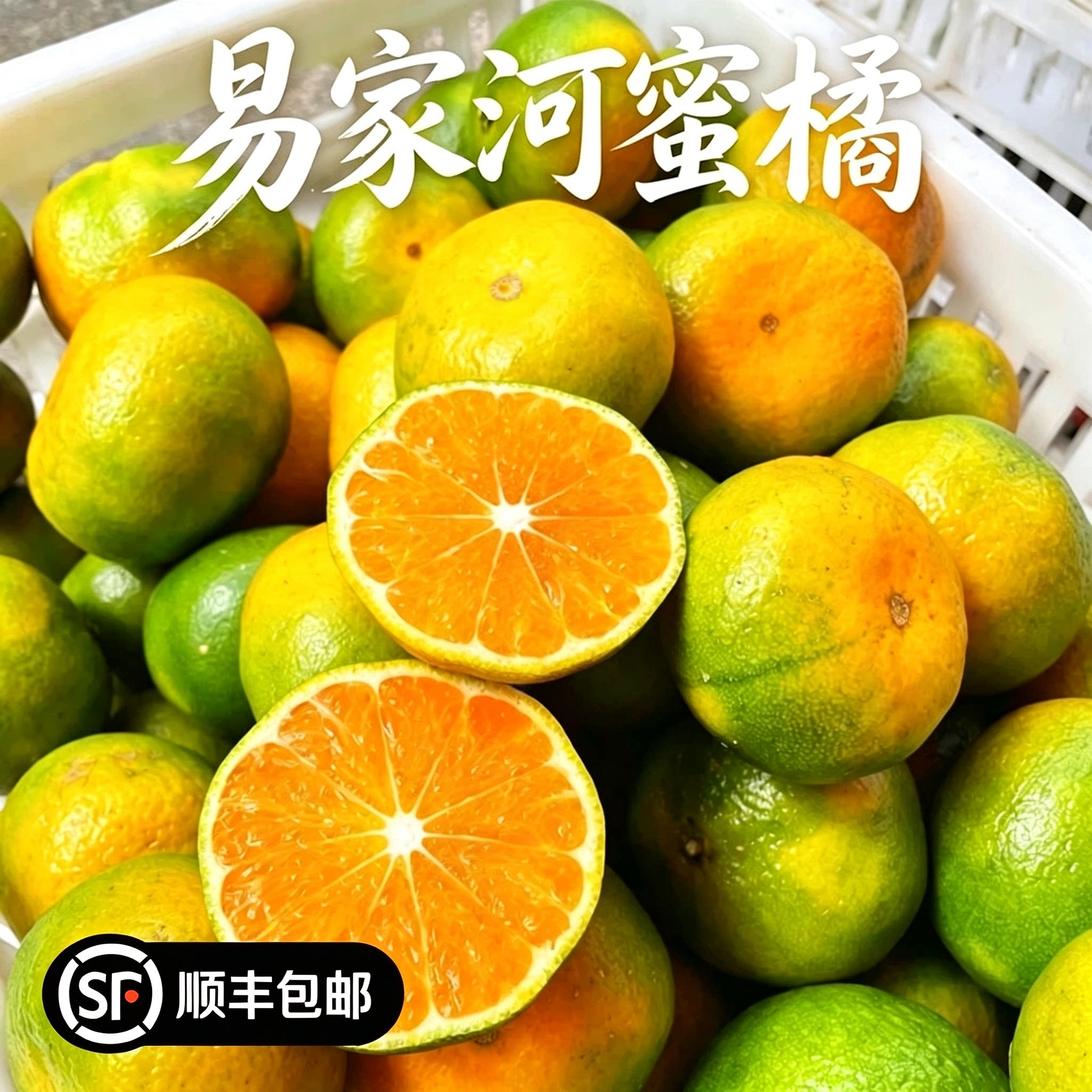 江西庐山西海易家河当季现摘特早无籽桔子新鲜上市甜过涌泉蜜桔