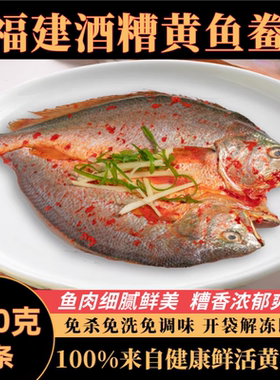 宁德霞浦特产酒糟黄花鱼