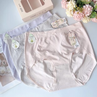 556 胖mm莫代尔无缝三角内裤 美拉尔抱抱裤 女高腰大码