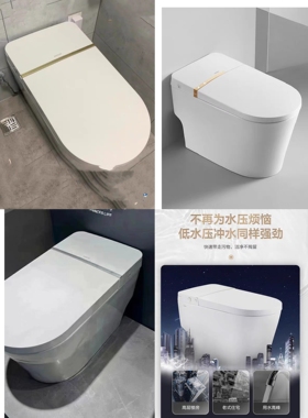 轻智能马桶坐圈AB1027/AG806/L1W23/806A/AKE1131轻智能座圈配件