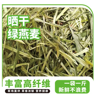 晒干燕麦草兔子草牧草喂羊驼幼兔草荷兰猪食用磨牙干草兔子食用草