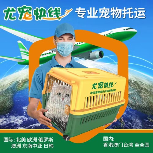 尤宠快线宠物托运顺风车服务全国广州深圳成都重庆上海北京济南