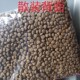 猫粮成猫幼猫通用型鸡肉牛肉味鸭肉三文鱼味散装 1包0.9斤样品