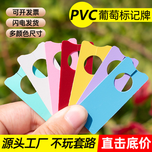 加厚葡萄标记卡西瓜标记牌授粉专用瓜果环扣标记牌不褪色防晒防水