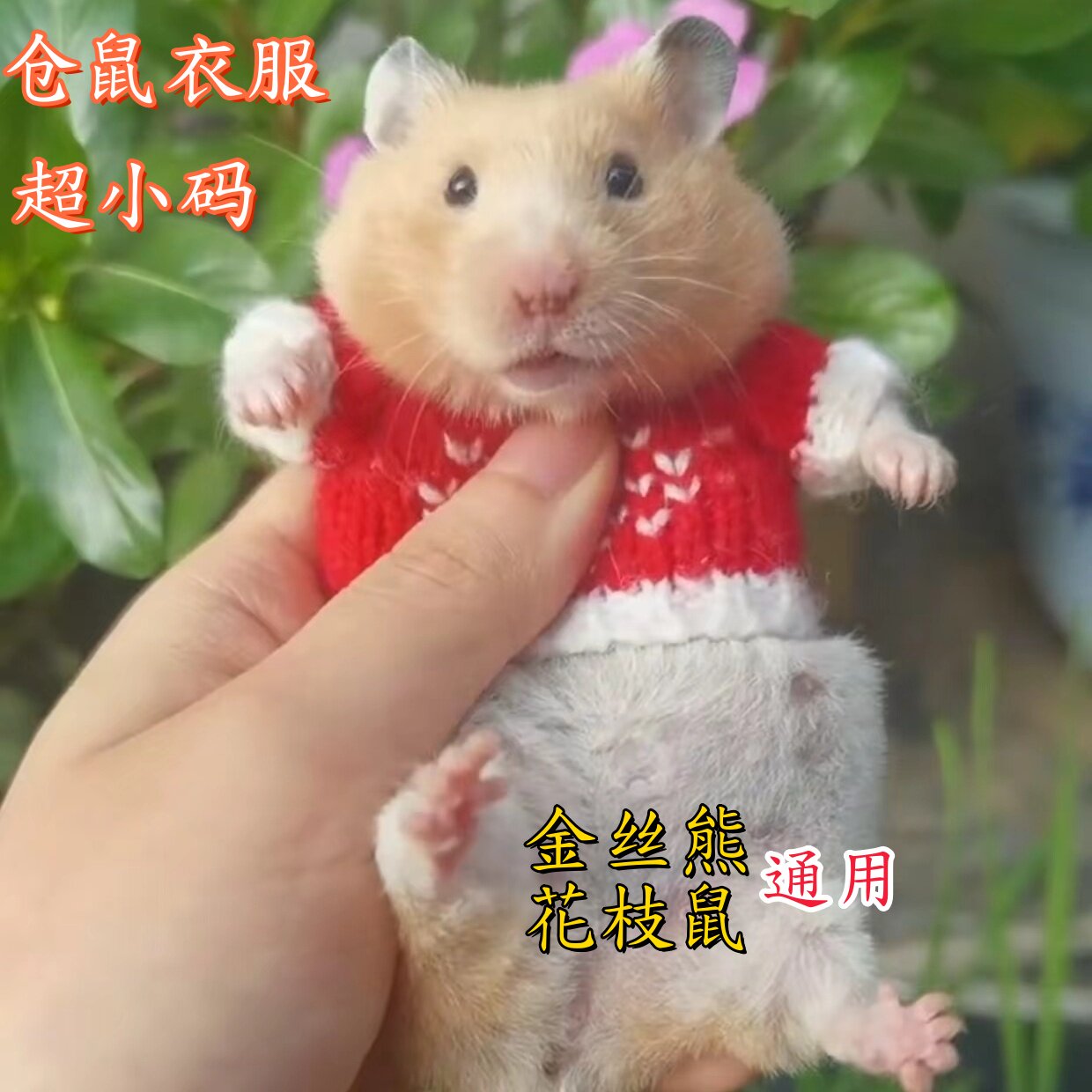 仓鼠专用小衣服圣诞拍照金丝熊蜜袋鼯花枝鼠小宠新年可爱迷你毛衣
