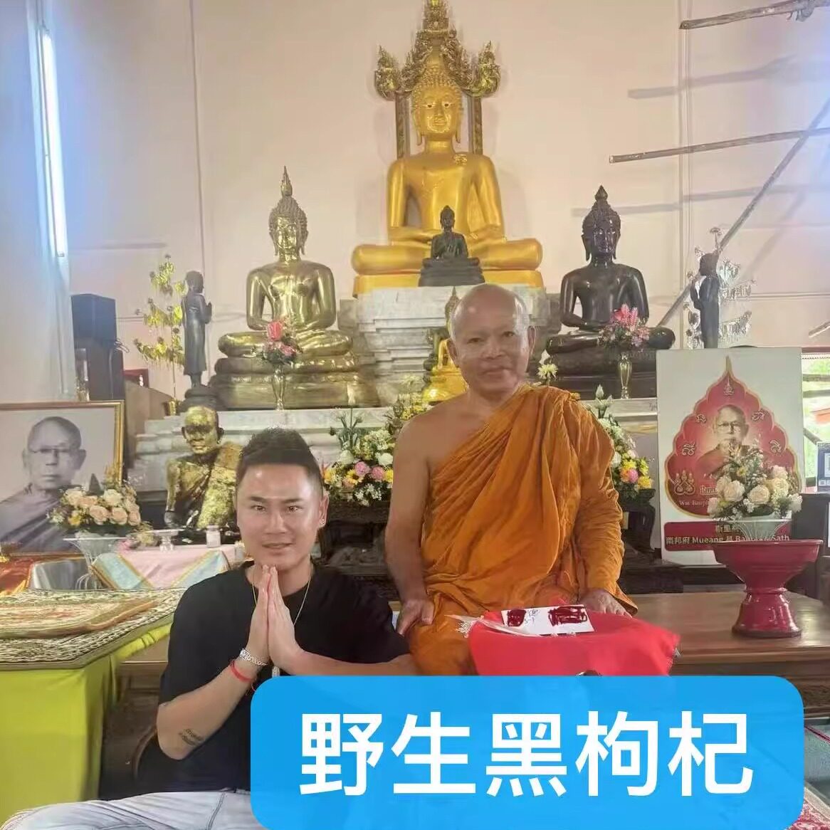 黑枸杞子茶野生正品非正宗干构纪非宁夏肾苟几构纪pyqz